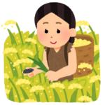 HPにアクセス殺到！「稲作ゲーム『天穂のサクナヒメ』」大ヒットの要因は農業体験に!?