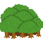 スギやヒノキの国産材価格が急騰、23年半ぶりの高値　米国発のウッドショックで代替需要が増加