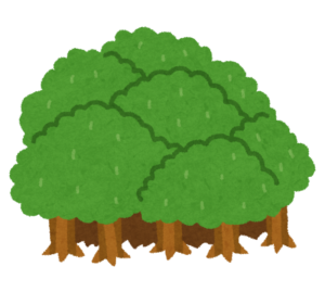 米国発のウッドショックが日本にも忍び寄る 木材不足で価格高騰、対応に追われる住宅業者